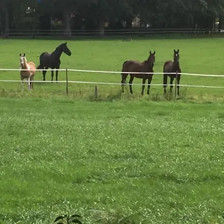 Apartamento Nahe Bentheimer Wald Schuettorf